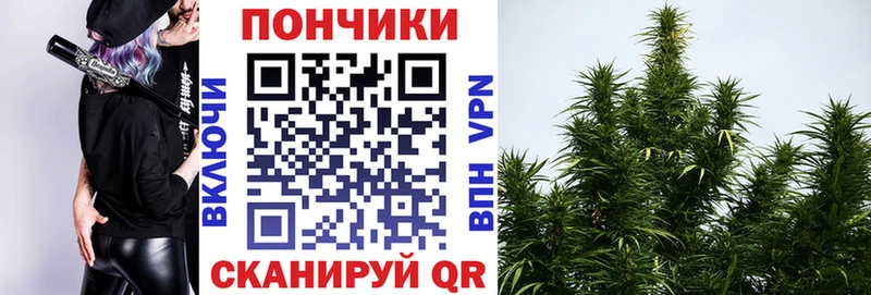 Где купить наркоту Лесосибирск Псилоцибиновые грибы  Гашиш  Бошки Шишки  omg ТОР  A-PVP  COCAIN 