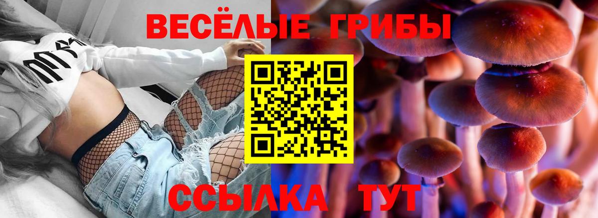 Псилоцибиновые грибы Magic Shrooms Лесосибирск