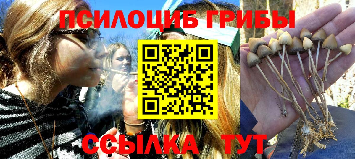 Псилоцибиновые грибы прущие грибы  Вход с VPN  Лесосибирск  Галлюциногенные грибы Psilocybe 