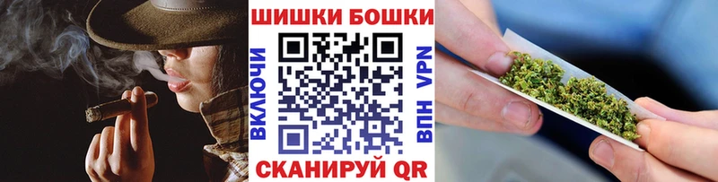 купить наркоту  Лесосибирск  Конопля сатива 